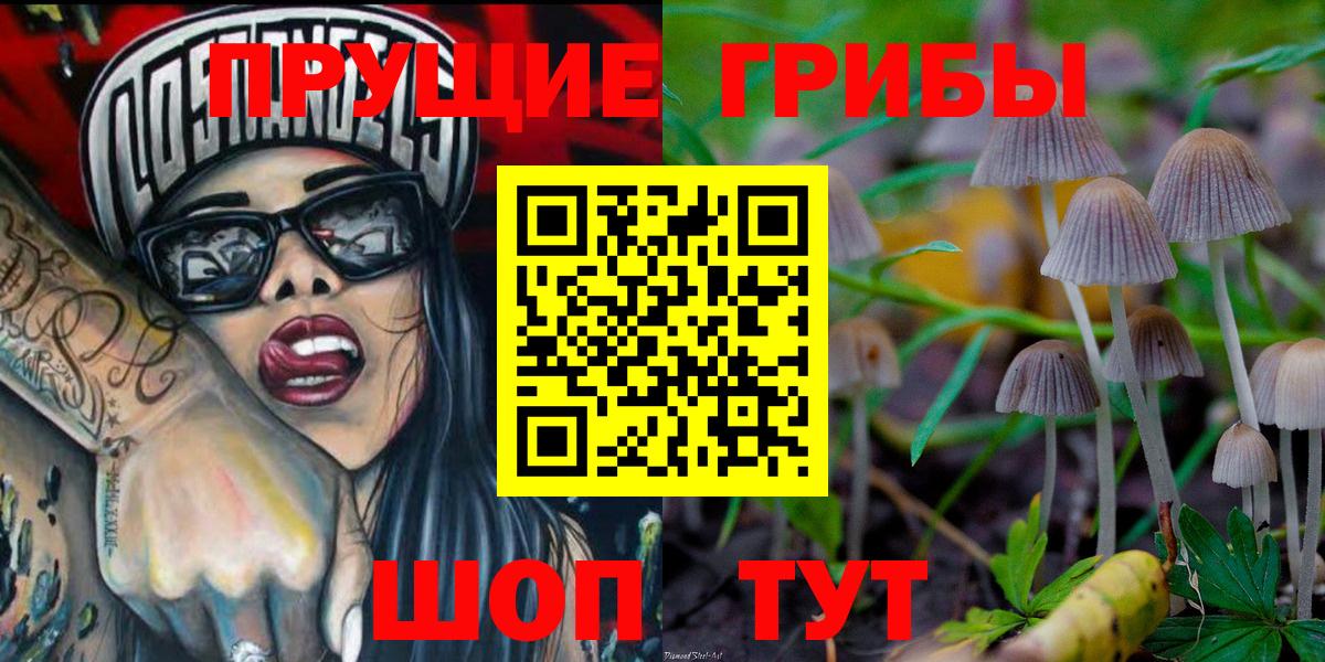 Псилоцибиновые грибы ЛСД  Псилоцибиновые грибы MAGIC MUSHROOMS  наркота  Жигулёвск  Вход с VPN 